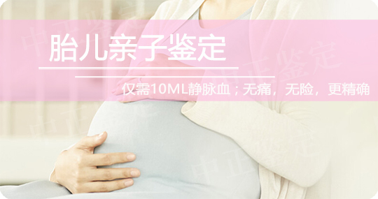 大同无创孕期亲子鉴定